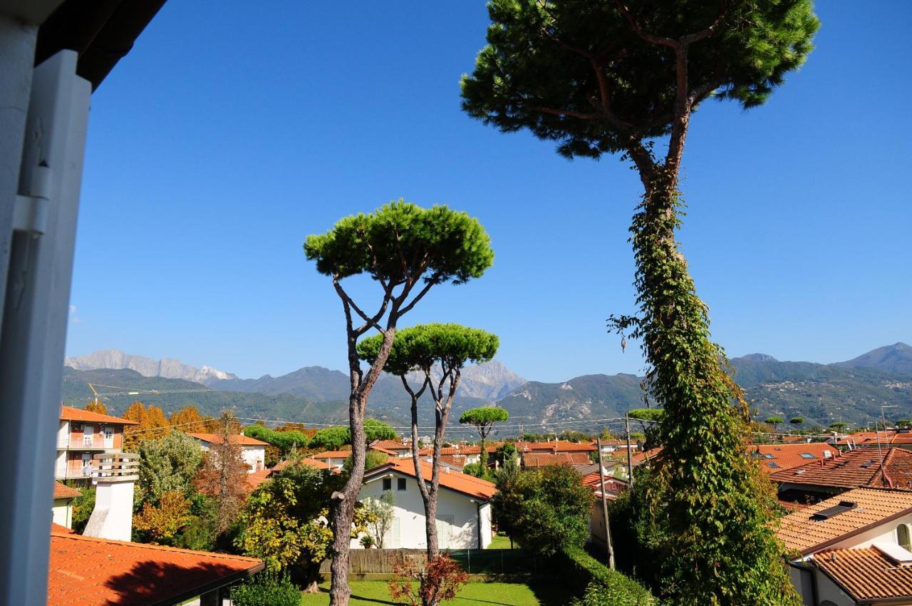 Olive Beach Forte Dei Marmi Exteriér fotografie